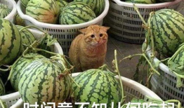 急速吃瓜网,急速吃瓜网带你直击热点事件